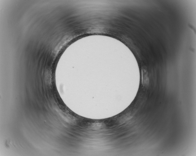 X0000103940204200810171822