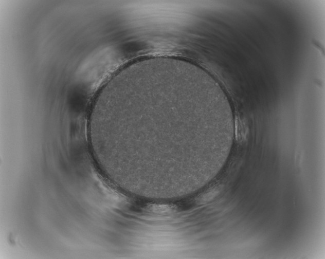 X0000103940205200810171822