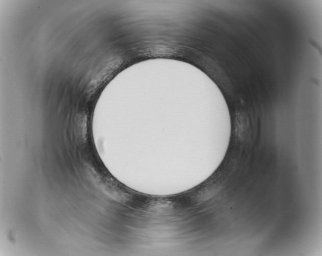 X0000103940206200810171822