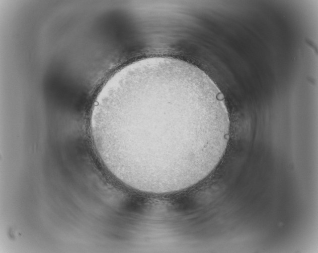 X0000103940207200810171822