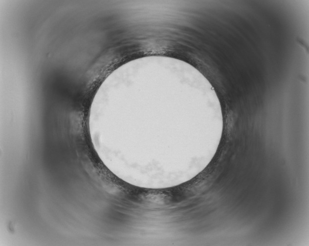 X0000103940209200810171822