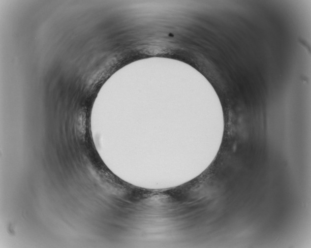 X0000103940210200810171822