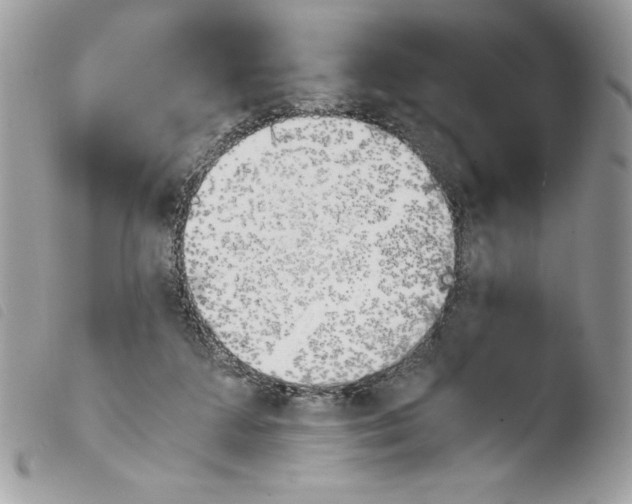 X0000103940211200810171822