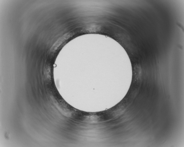 X0000103940212200810171822