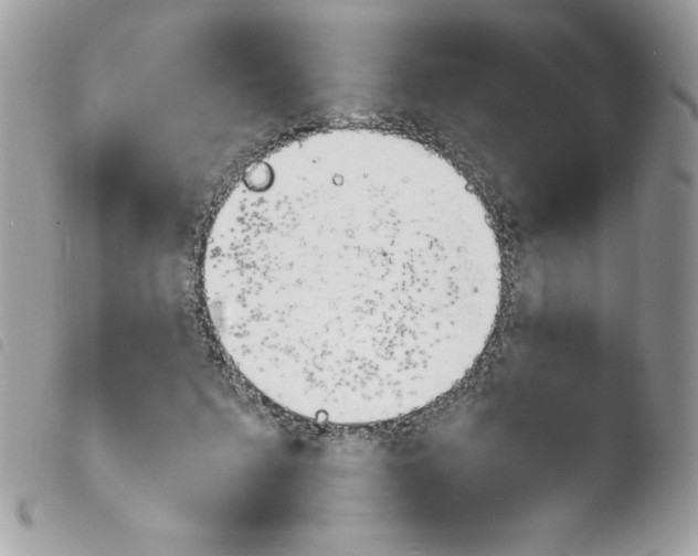 X0000103940215200810171822