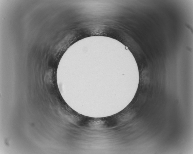 X0000103940217200810171822