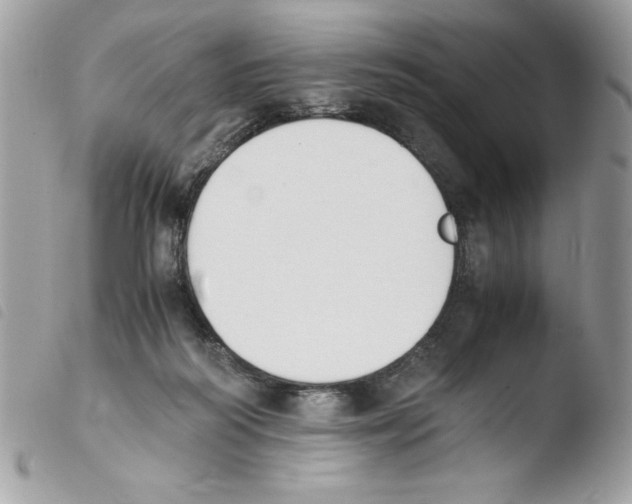 X0000103940218200810171822