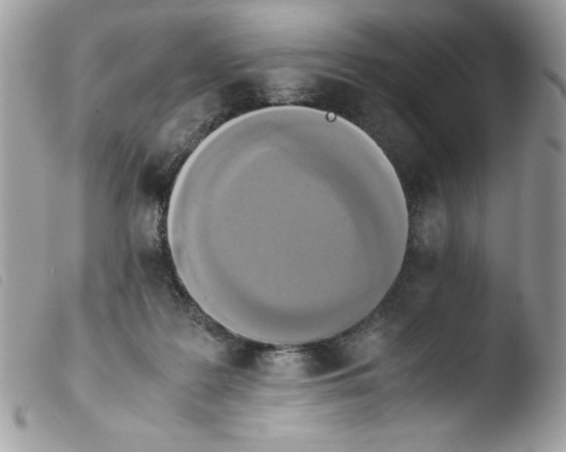 X0000103940219200810171822