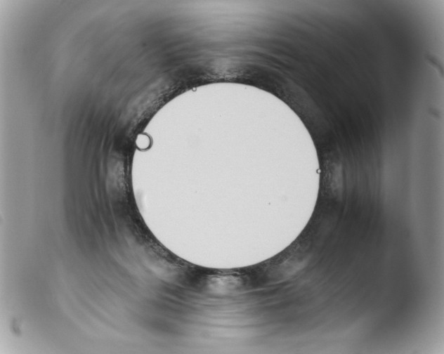 X0000103940220200810171822