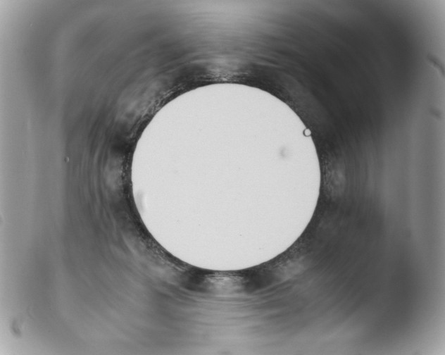 X0000103940221200810171822