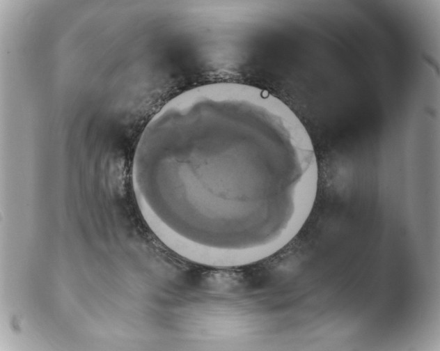 X0000103940223200810171822