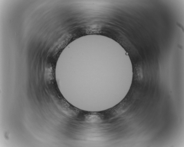 X0000103940224200810171822