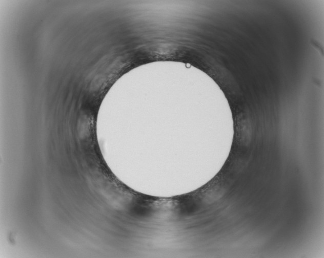 X0000103940225200810171822