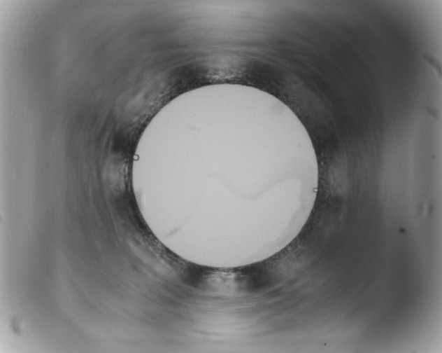 X0000103940227200810171822