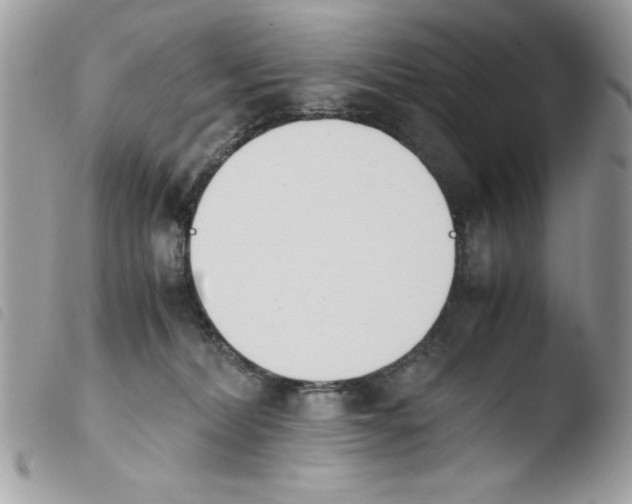 X0000103940228200810171822