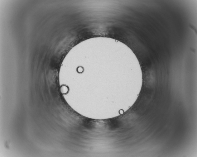 X0000103940229200810171822