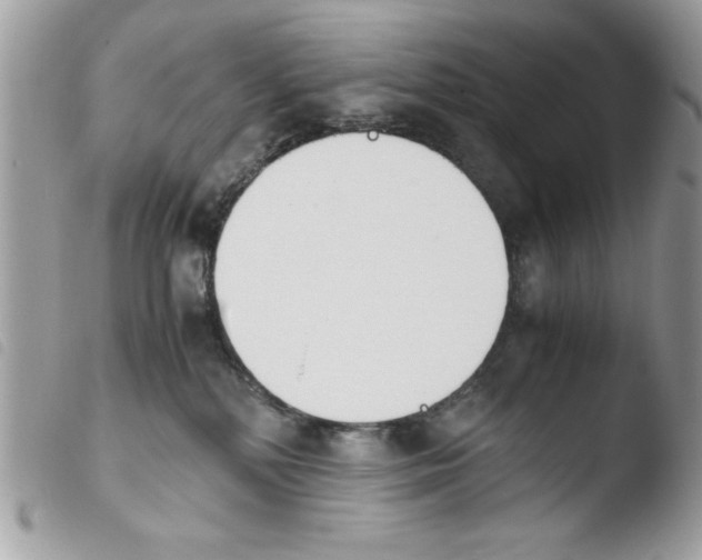 X0000103940232200810171822