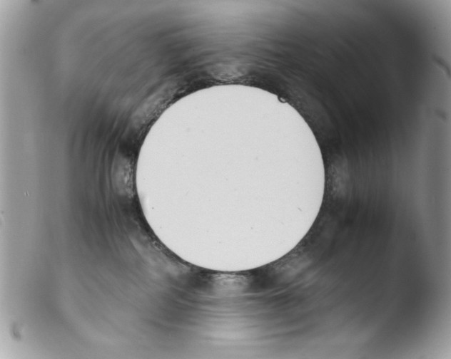 X0000103940234200810171822