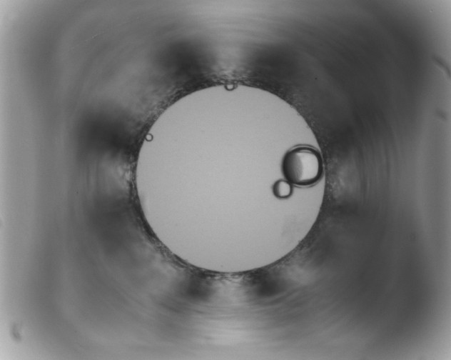 X0000103940235200810171822