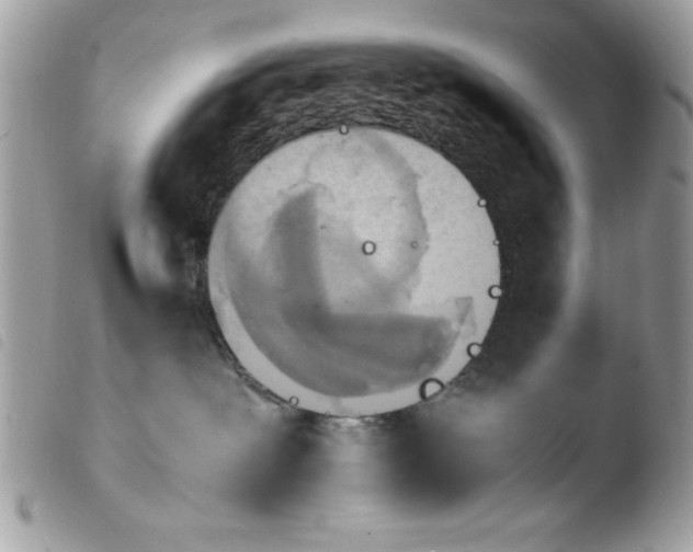 X0000103940239200810171822