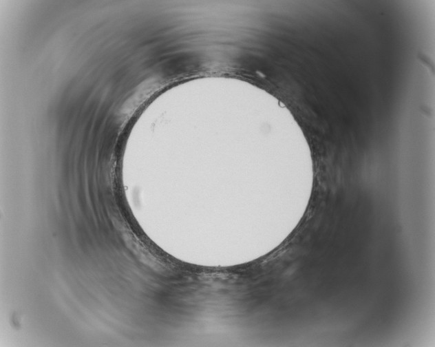 X0000103940242200810171821