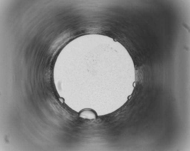 X0000103940243200810171821