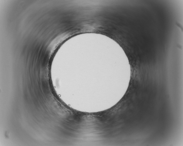 X0000103940244200810171821