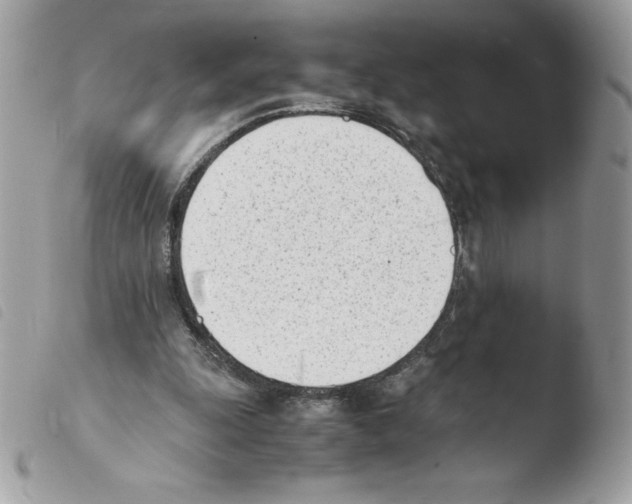 X0000103940247200810171821