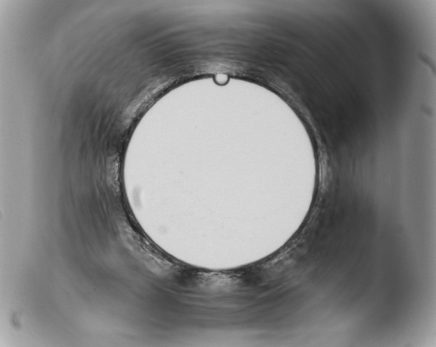 X0000103940249200810171821