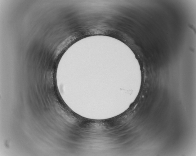 X0000103940250200810171821