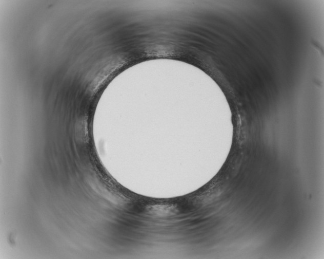 X0000103940251200810171821