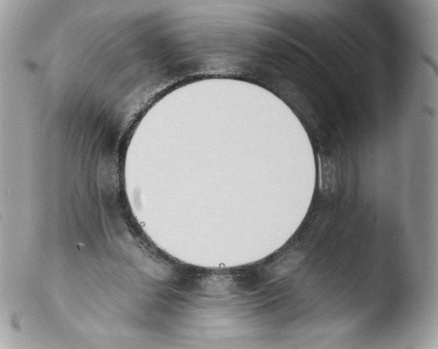 X0000103940252200810171821