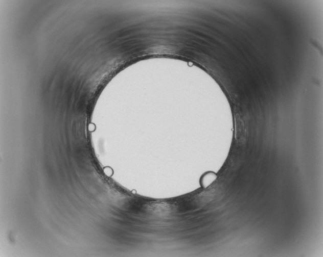 X0000103940253200810171821