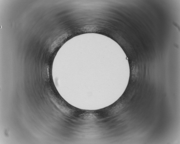 X0000103940254200810171821