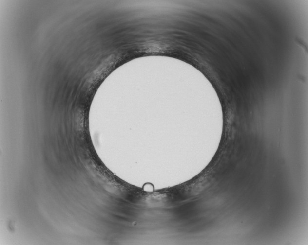 X0000103940257200810171821