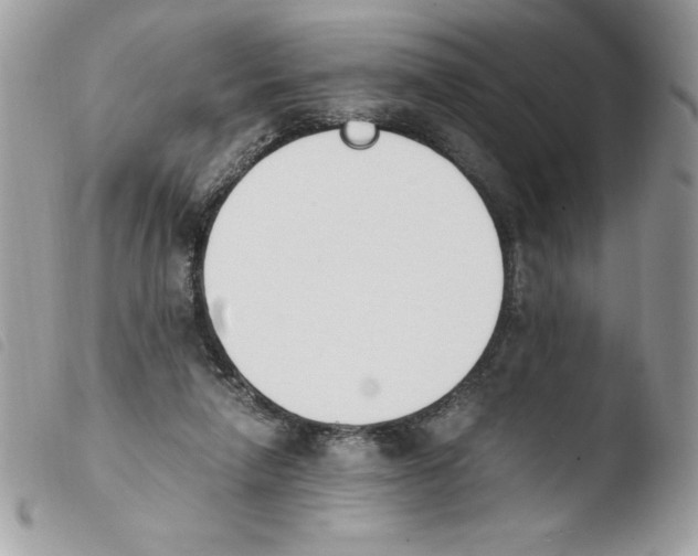 X0000103940258200810171821