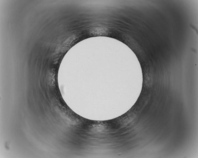 X0000103940259200810171821