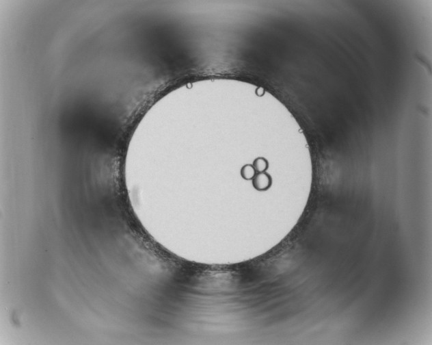 X0000103940260200810171821