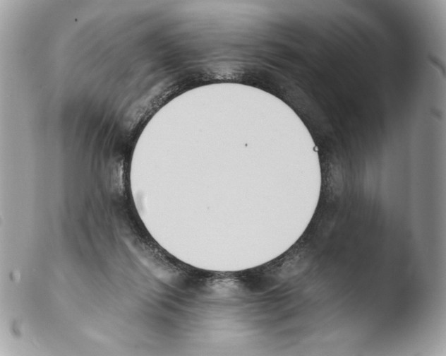 X0000103940262200810171822