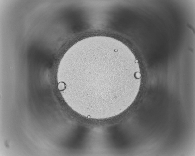 X0000103940264200810171822