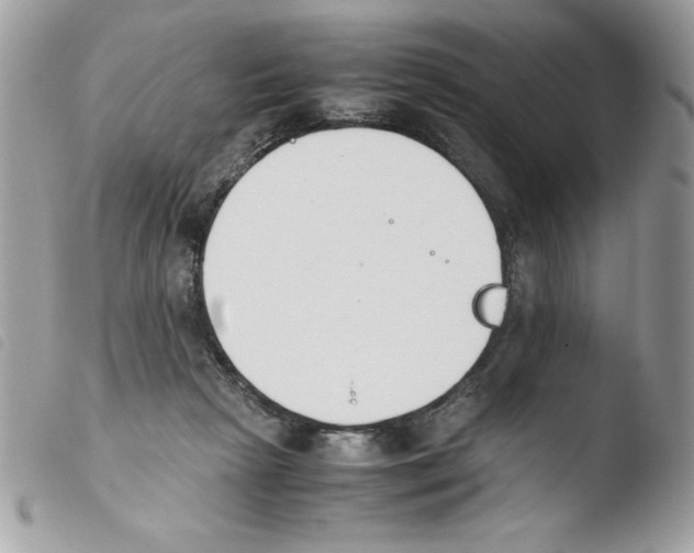 X0000103940265200810171822