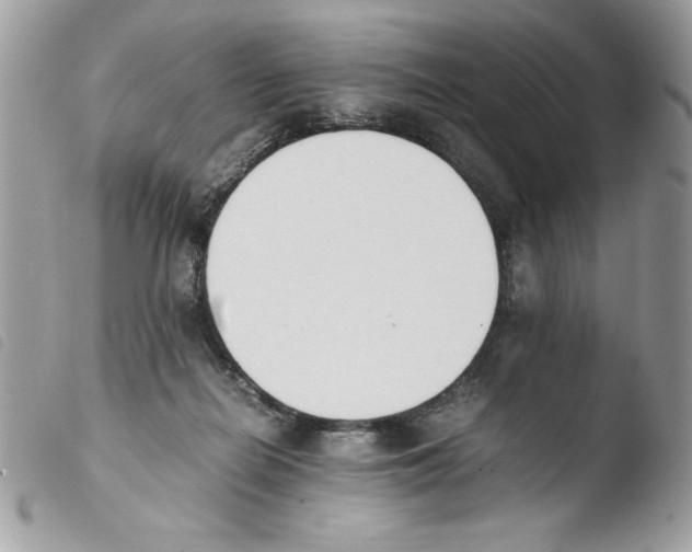 X0000103940266200810171822