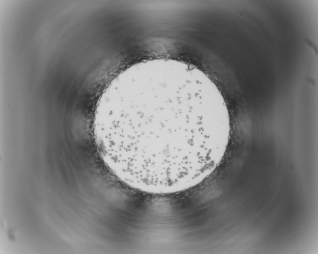 X0000103940268200810171822