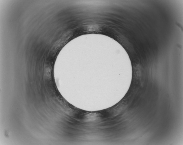 X0000103940269200810171822