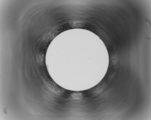 X0000103940271200810171822