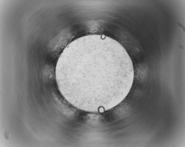 X0000103940272200810171822