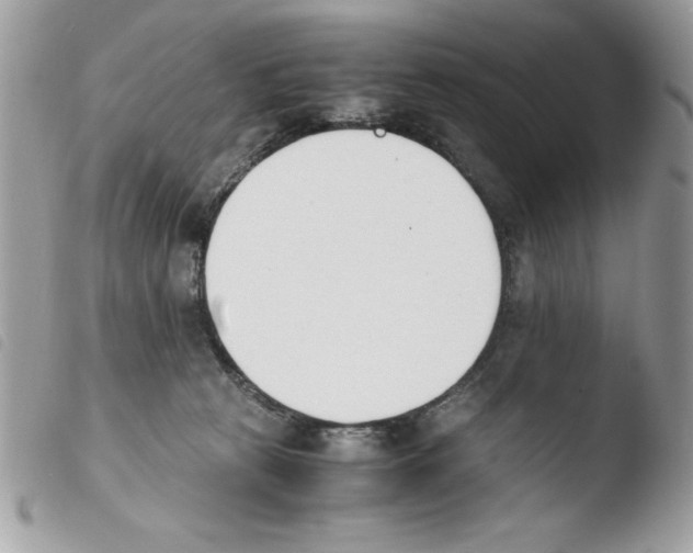 X0000103940273200810171822