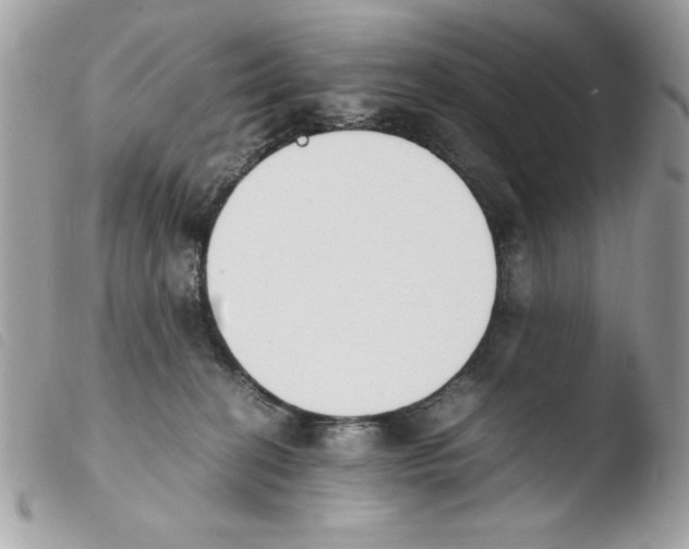 X0000103940274200810171822