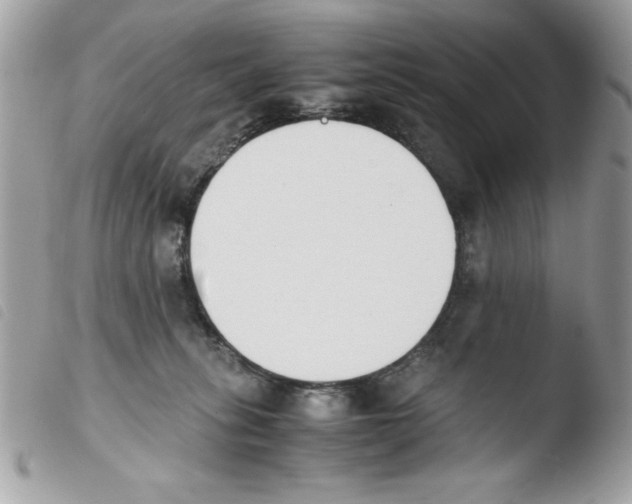 X0000103940275200810171822