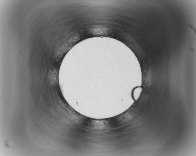 X0000103940277200810171822